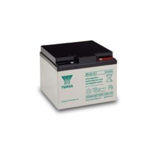 Yuasa NPL24-12, 12V 24Ah